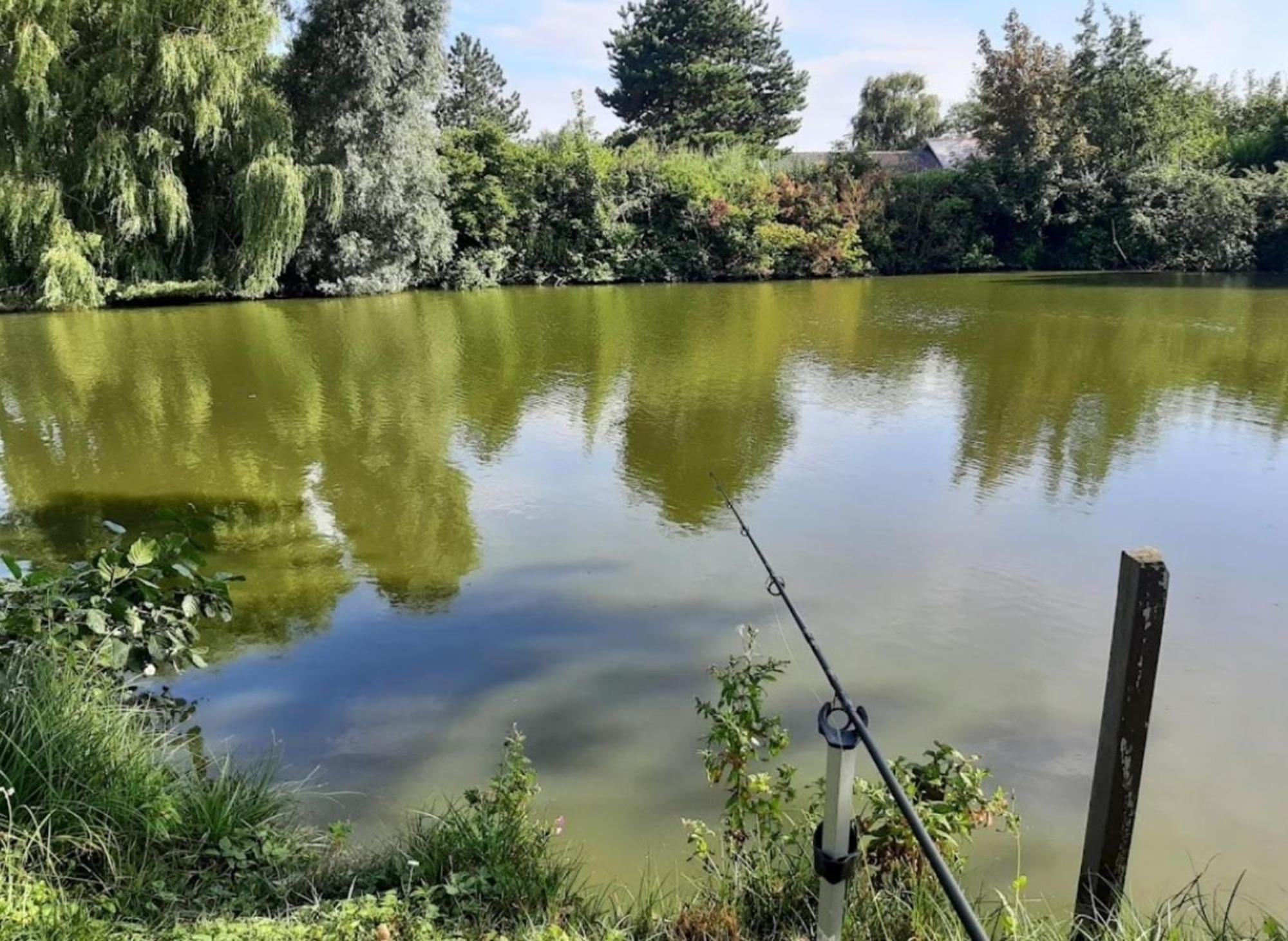 Meer-Brise Burgh-Haamstede Exterior foto
